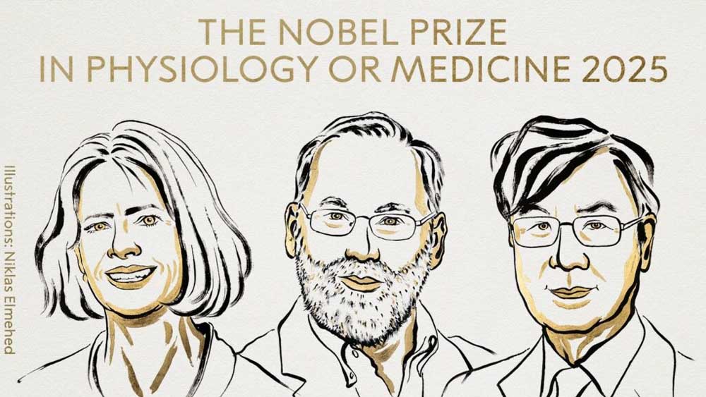 Nobel per la Medicina 2025, premiata la scoperta che spiega come il sistema immunitario non attacca se stesso