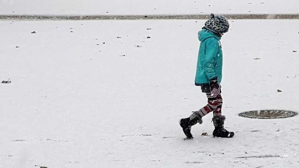 Un biglietto da dieci euro e un bambino lasciato a piedi, il paradosso del trasporto pubblico