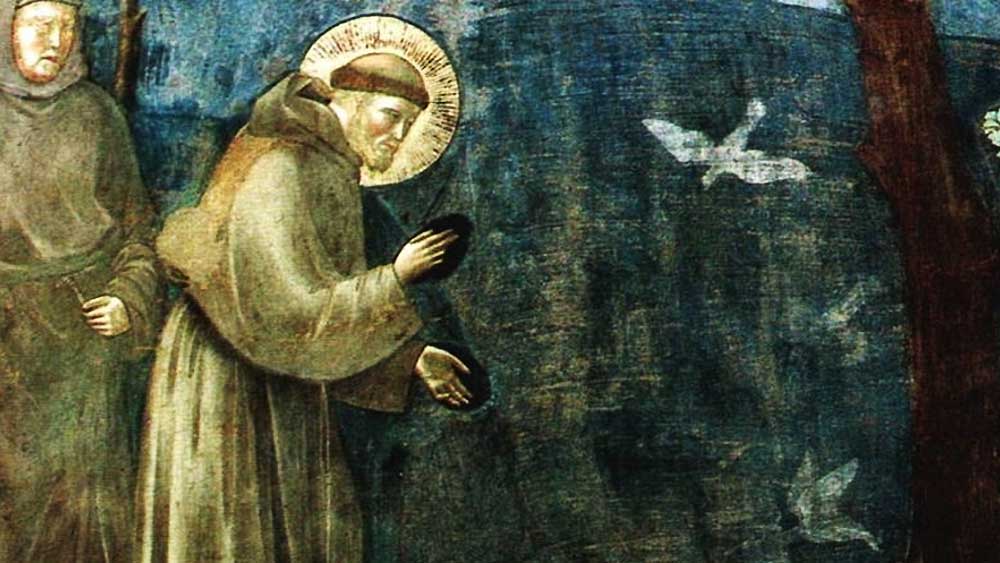 Il Cantico delle creature, le parole di Francesco dopo ottocento anni